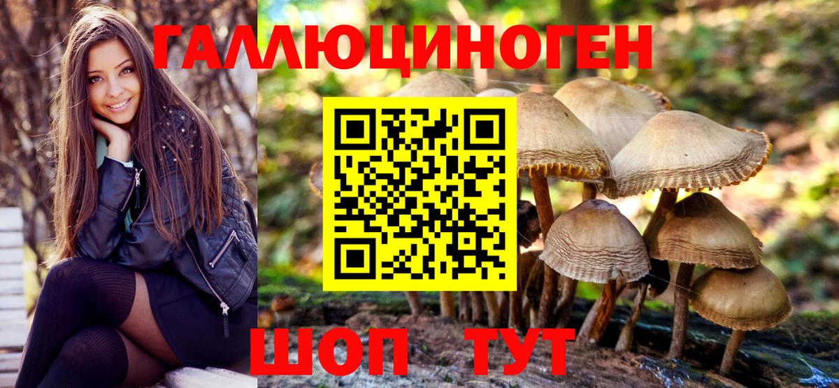 Псилоцибиновые грибы мицелий Магадан